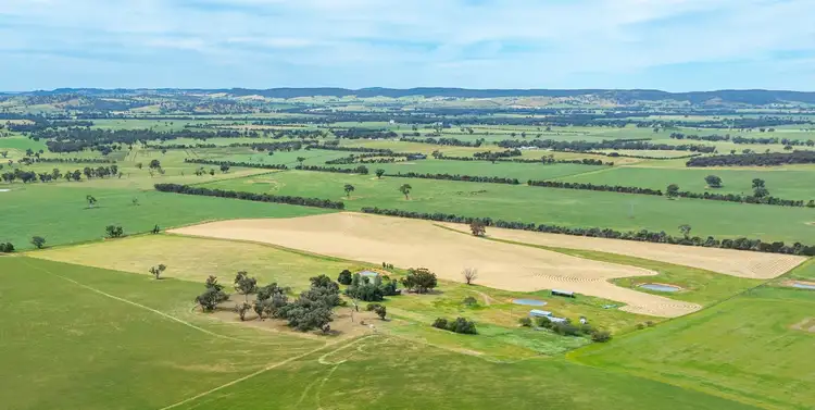 Second view of Homely rural property listing, 1470 Yerong Creek Mangoplah Road, Mangoplah NSW 2652