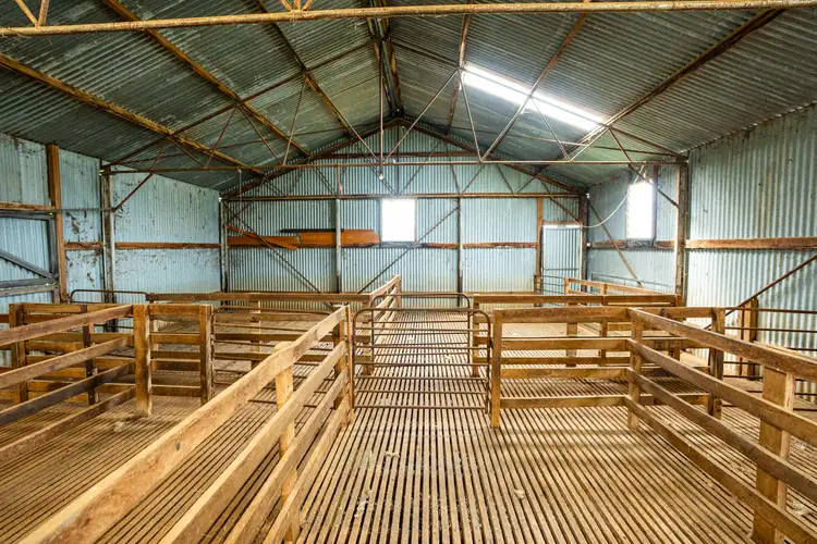 Fourth view of Homely rural property listing, 1470 Yerong Creek Mangoplah Road, Mangoplah NSW 2652