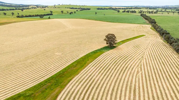 Fifth view of Homely rural property listing, 1470 Yerong Creek Mangoplah Road, Mangoplah NSW 2652