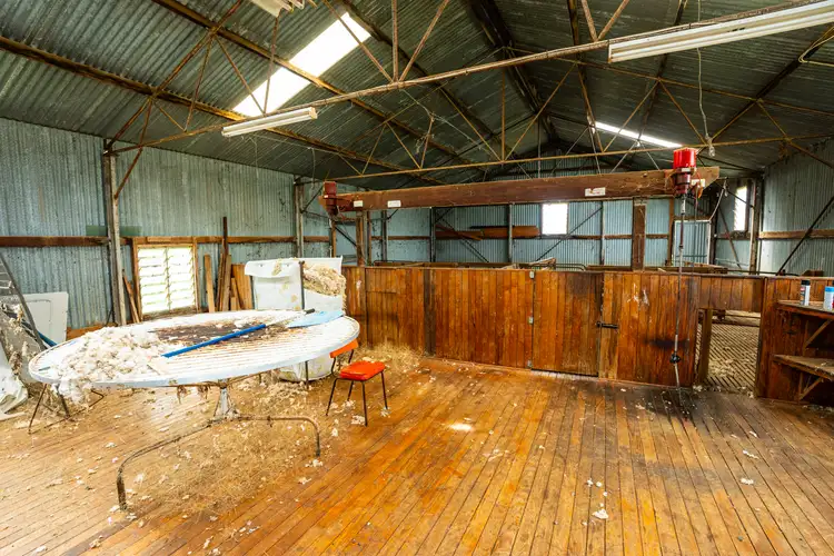 Sixth view of Homely rural property listing, 1470 Yerong Creek Mangoplah Road, Mangoplah NSW 2652