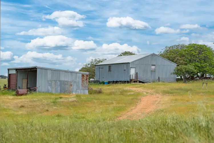 Seventh view of Homely rural property listing, 1470 Yerong Creek Mangoplah Road, Mangoplah NSW 2652