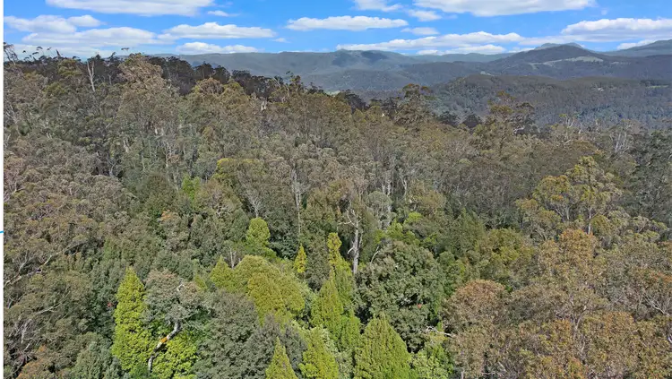 Fourth view of Homely land listing, PID 6805846 Anchor Road, Lottah TAS 7216