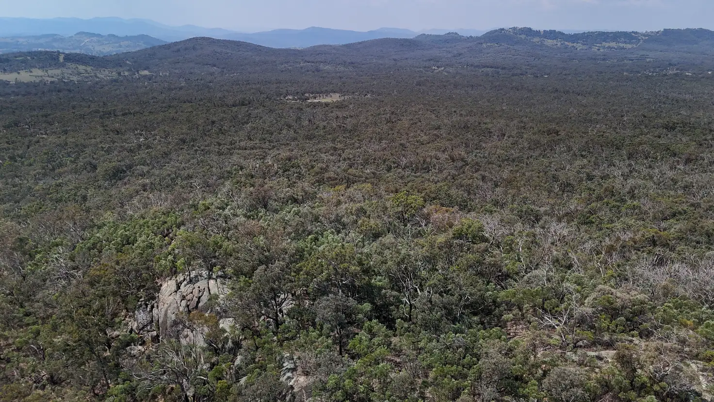 Main view of Homely rural property listing, Lot 8 Binghi Road, Tenterfield NSW 2372