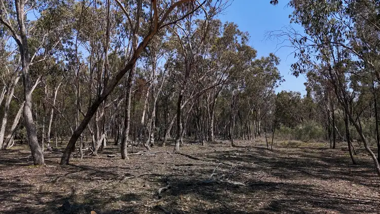 Seventh view of Homely rural property listing, Lot 8 Binghi Road, Tenterfield NSW 2372