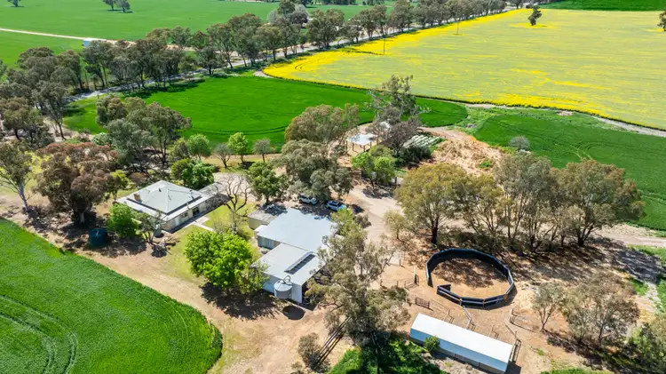 Second view of Homely rural property listing, 106 Cornishtown Road, Rutherglen VIC 3685