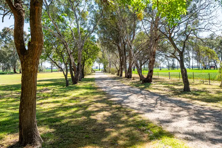 Sixth view of Homely rural property listing, 106 Cornishtown Road, Rutherglen VIC 3685