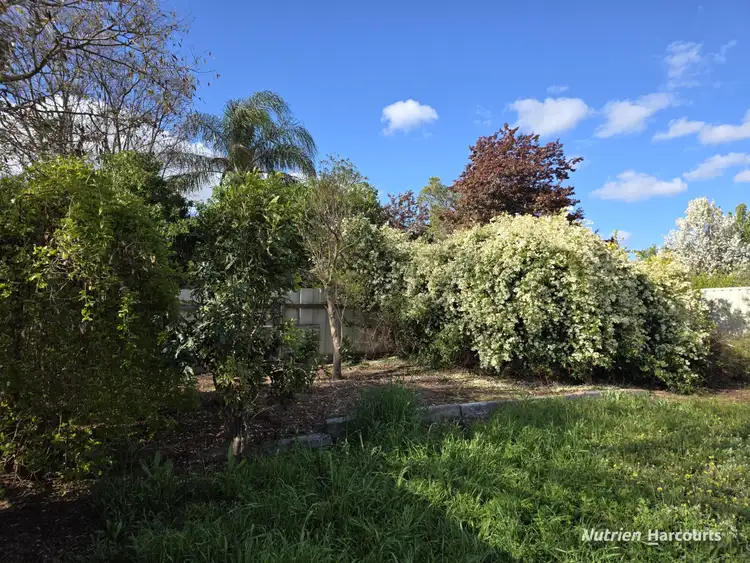 Sixth view of Homely house listing, 9 McLeod Street, Kojonup WA 6395