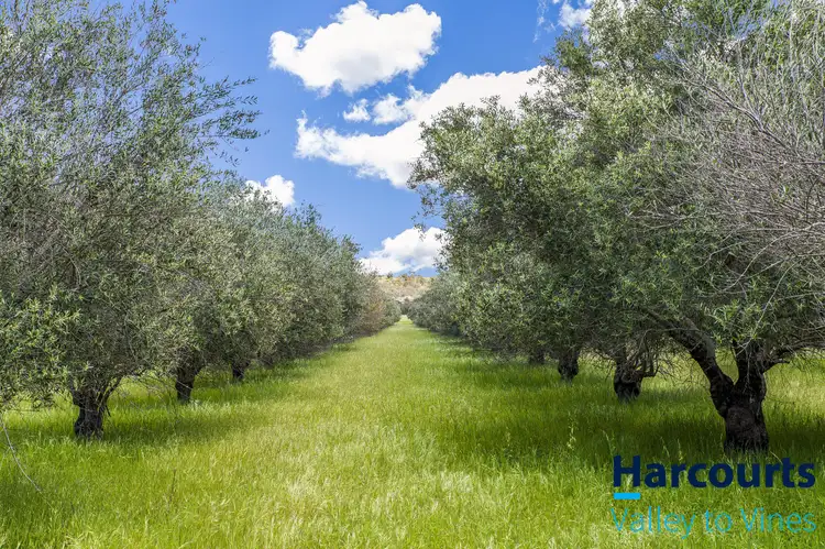 Second view of Homely house listing, 809 Bindoon-Moora Road, Bindoon WA 6502