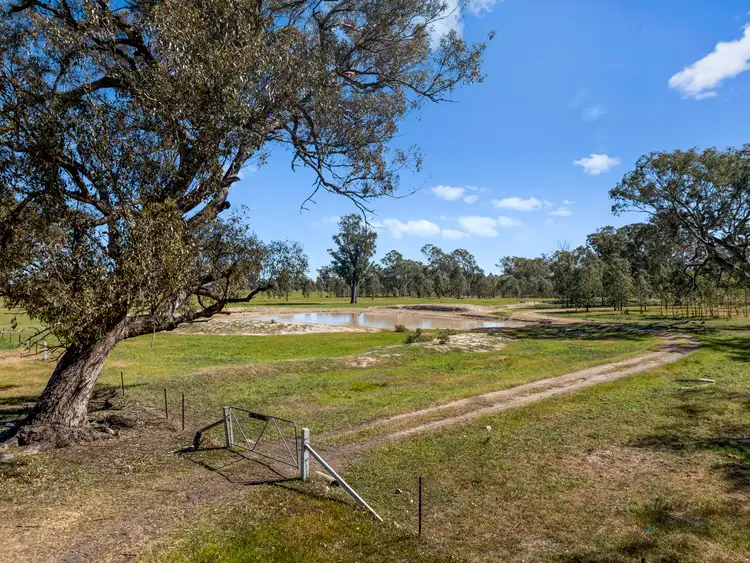 Third view of Homely rural property listing, 19A & 20A Balmattum North Road, Balmattum VIC 3666