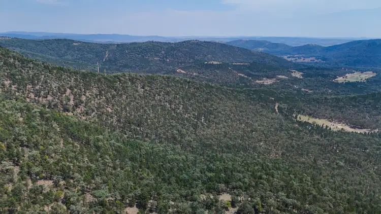 Second view of Homely rural property listing, 404 Mountain Creek Road, Tenterfield NSW 2372