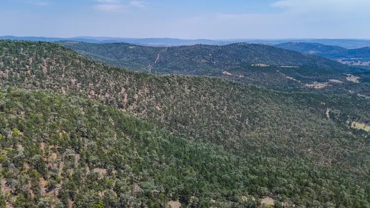 Fourth view of Homely rural property listing, 404 Mountain Creek Road, Tenterfield NSW 2372