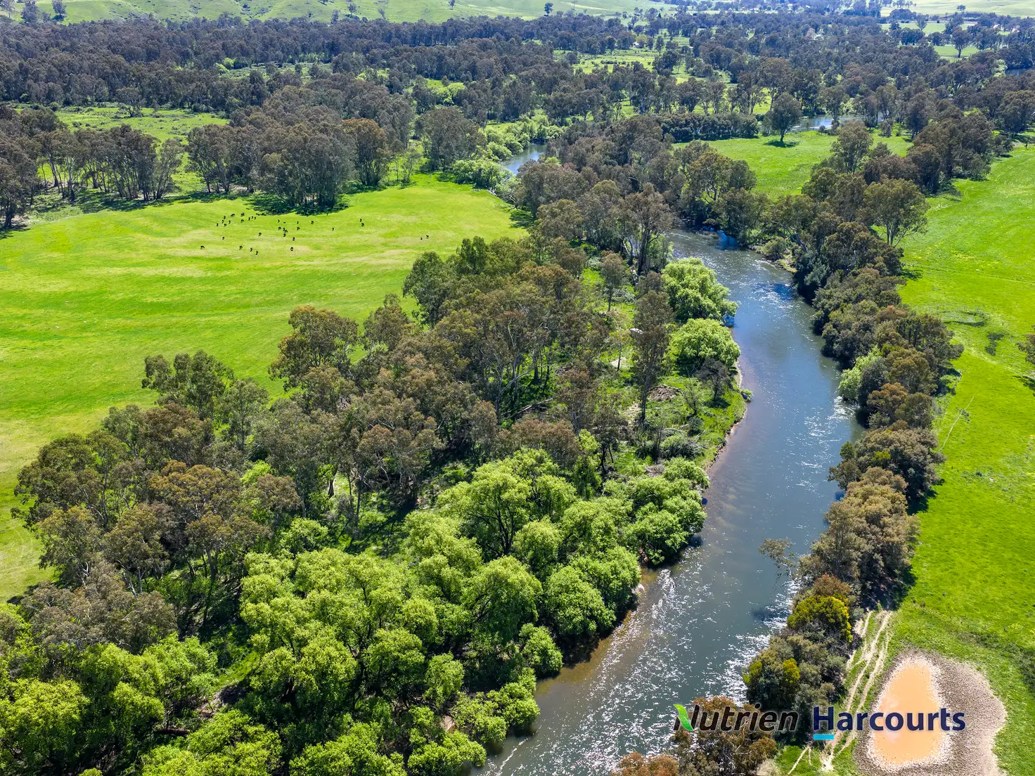 Main view of Homely rural property listing, 26 Baynes Road, Molesworth VIC 3718