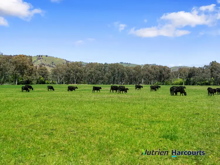 Second view of Homely rural property listing, 26 Baynes Road, Molesworth VIC 3718