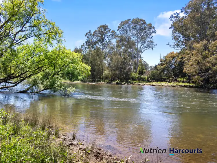 Fifth view of Homely rural property listing, 26 Baynes Road, Molesworth VIC 3718
