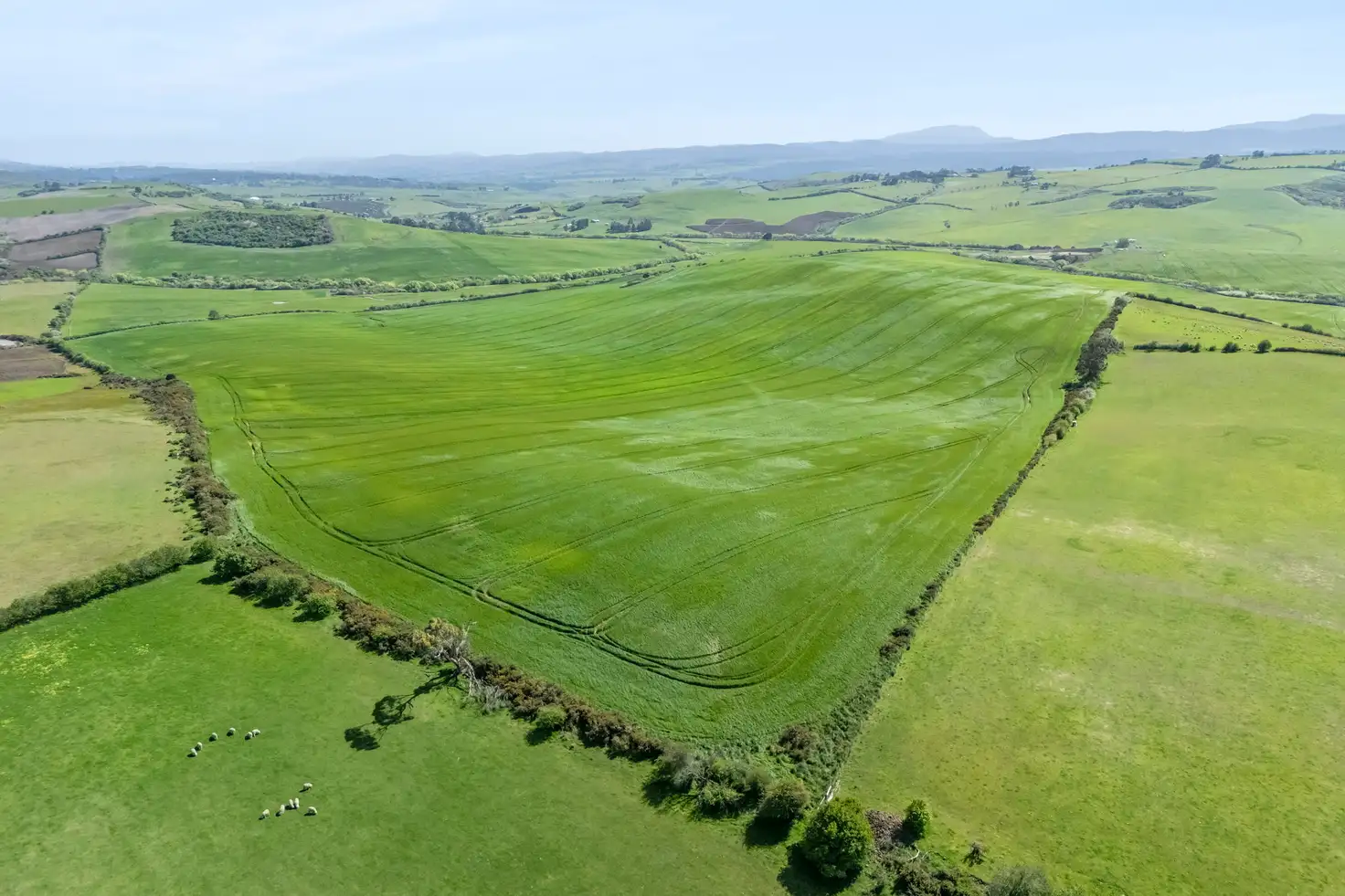 Main view of Homely rural property listing, . White Hills Road, White Hills TAS 7258