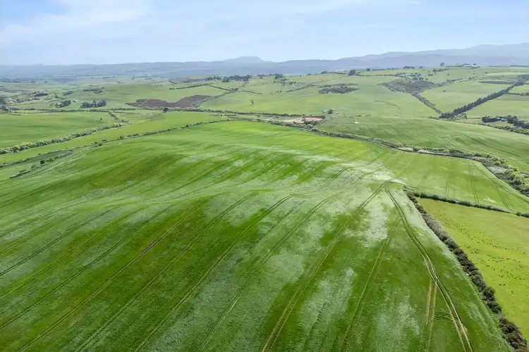 Third view of Homely rural property listing, . White Hills Road, White Hills TAS 7258