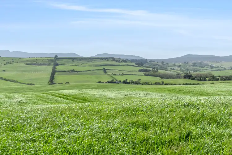 Fifth view of Homely rural property listing, . White Hills Road, White Hills TAS 7258