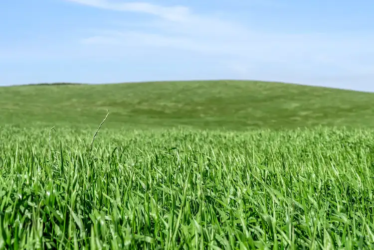 Seventh view of Homely rural property listing, . White Hills Road, White Hills TAS 7258