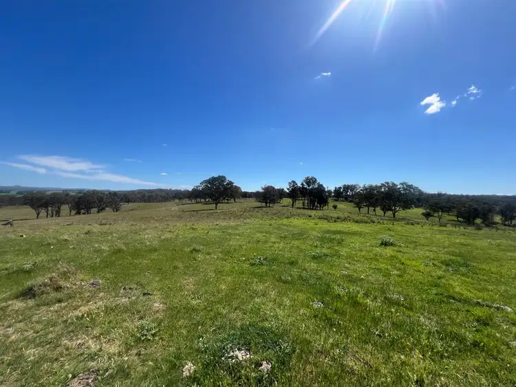 Seventh view of Homely rural property listing, 400 Bullock Mountain Road, Glen Innes NSW 2370