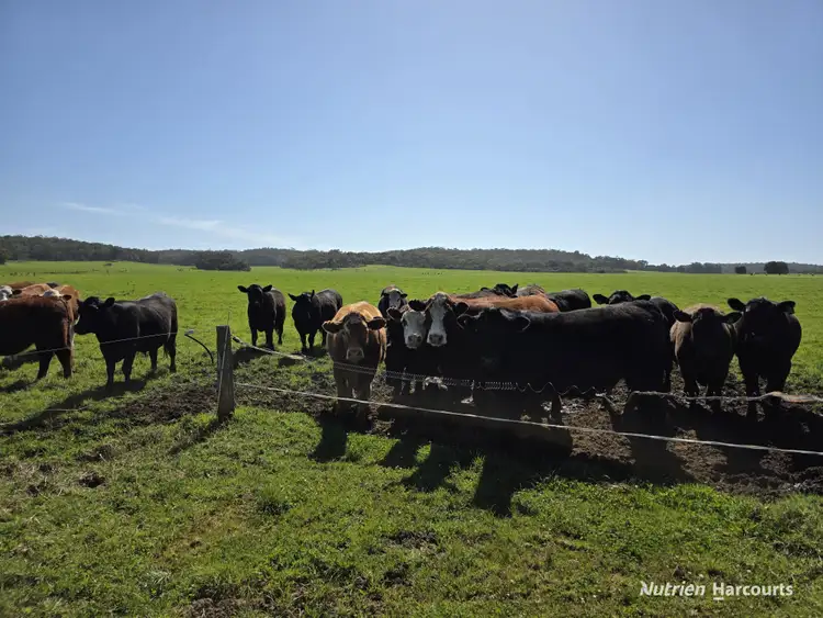 Second view of Homely rural property listing, 60 Skippings Road, Kordabup WA 6333