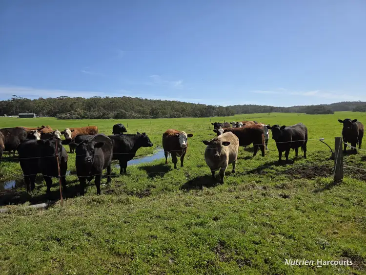 Third view of Homely rural property listing, 60 Skippings Road, Kordabup WA 6333