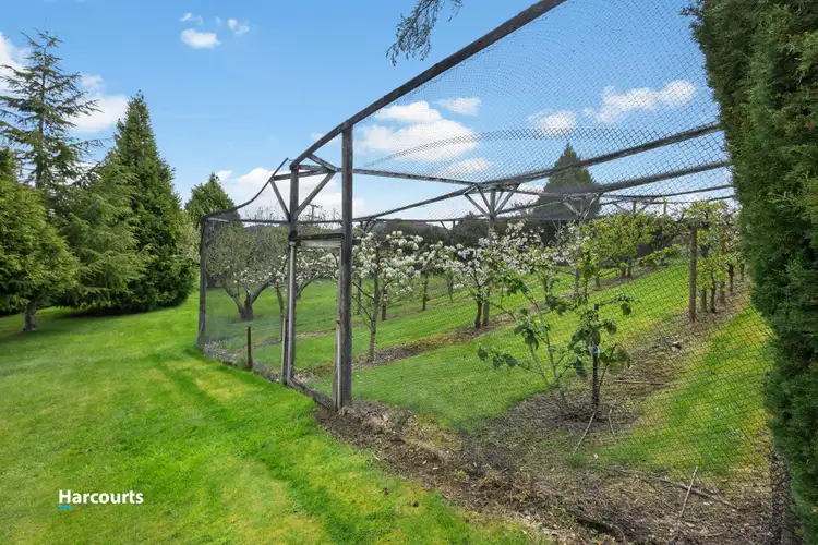 Sixth view of Homely house listing, 151 Palmers Road, Port Huon TAS 7116