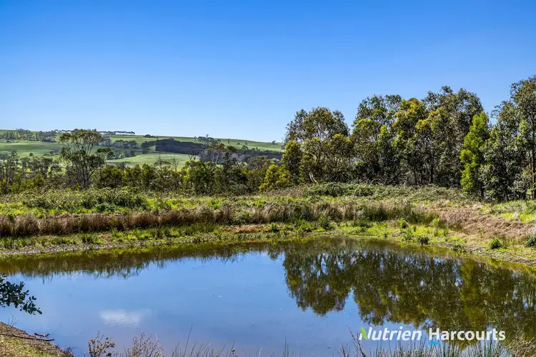 Sixth view of Homely rural property listing, Part/880 Timboon - Colac Road, Simpson VIC 3266