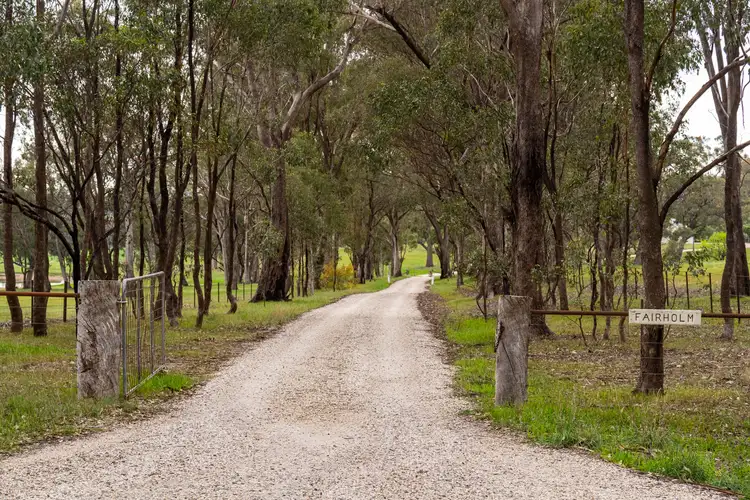 Fourth view of Homely rural property listing, 445 Kobyboyn Road, Whiteheads Creek VIC 3660