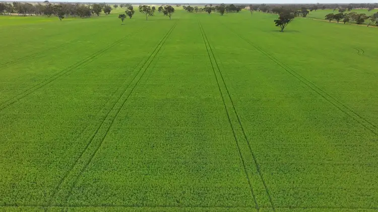 0 South Lillimur Road