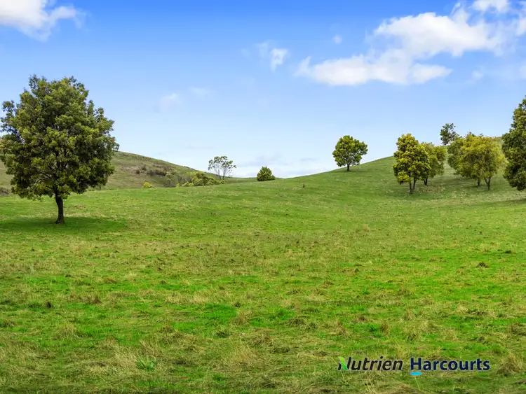 Fifth view of Homely rural property listing, 3918 Whittlesea-Yea Road, Flowerdale VIC 3717