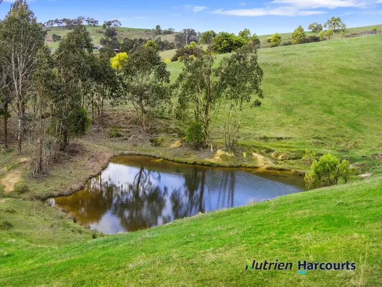 Sixth view of Homely rural property listing, 3918 Whittlesea-Yea Road, Flowerdale VIC 3717