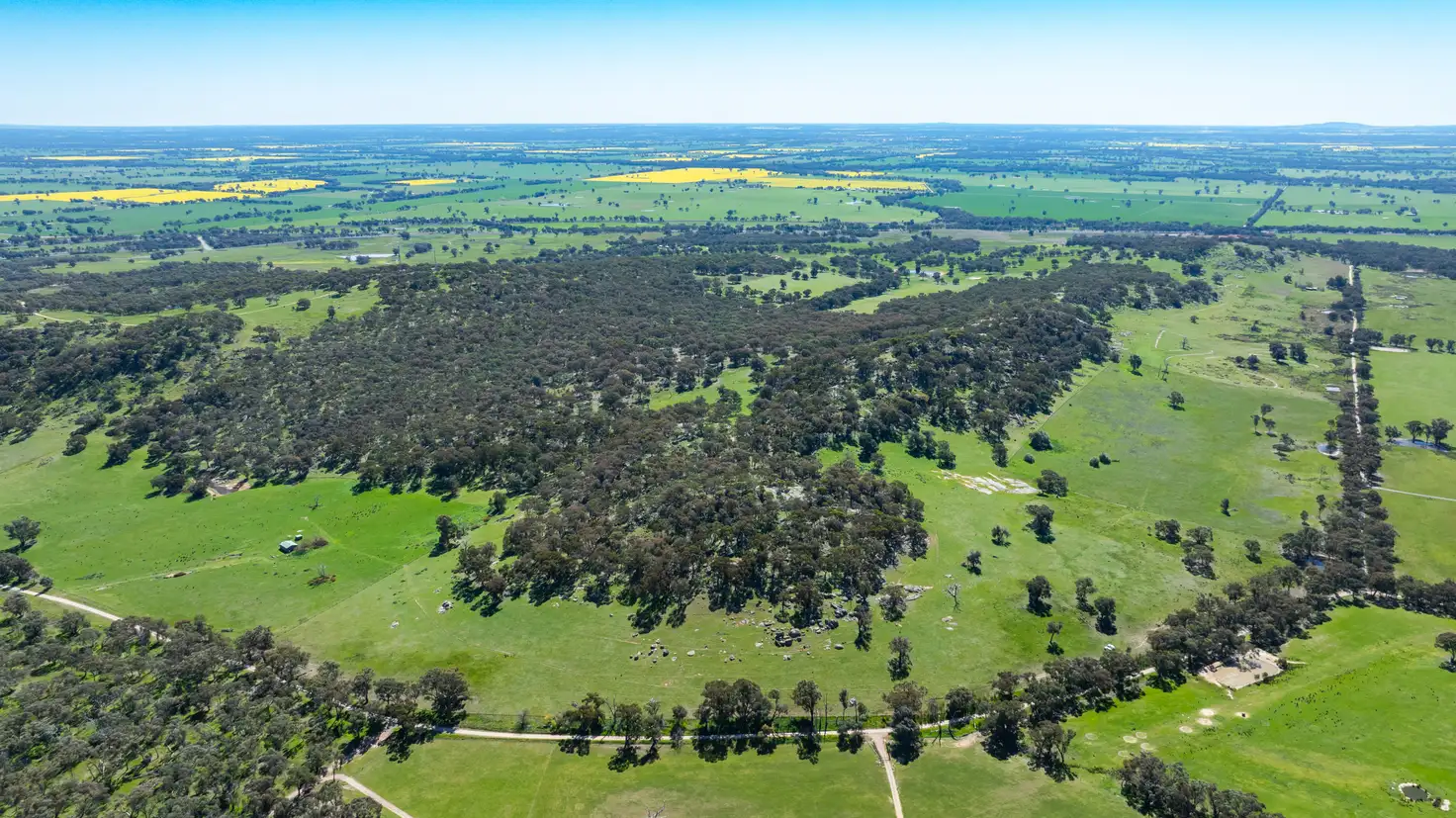 Main view of Homely rural property listing, . Sanderson Road, Springhurst VIC 3682