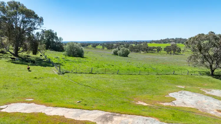 Fifth view of Homely rural property listing, . Sanderson Road, Springhurst VIC 3682