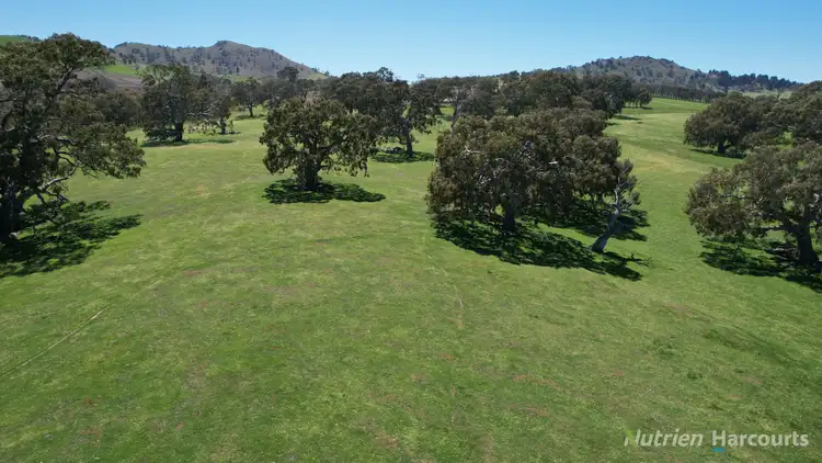 Second view of Homely rural property listing, 154 Sand Pit Lane, Ercildoune VIC 3352