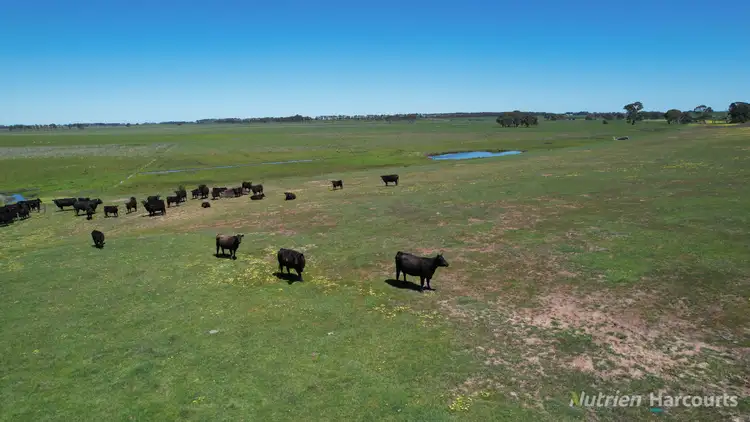 Third view of Homely rural property listing, 154 Sand Pit Lane, Ercildoune VIC 3352