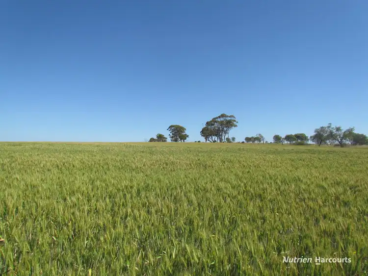 Lot 141 Billeroo Road, Carnamah WA 6517