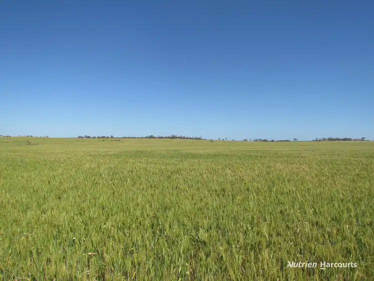Second view of Homely rural property listing, Lot 141 Billeroo Road, Carnamah WA 6517