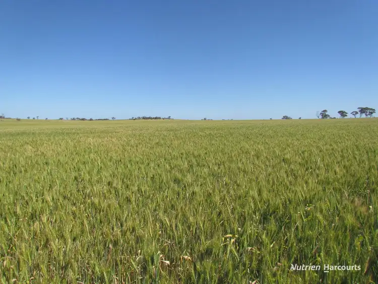 Third view of Homely rural property listing, Lot 141 Billeroo Road, Carnamah WA 6517