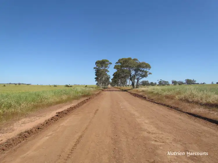 Fourth view of Homely rural property listing, Lot 141 Billeroo Road, Carnamah WA 6517