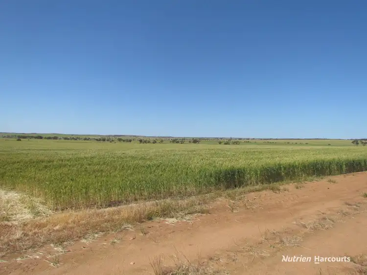 Sixth view of Homely rural property listing, Lot 141 Billeroo Road, Carnamah WA 6517