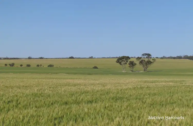 Seventh view of Homely rural property listing, Lot 141 Billeroo Road, Carnamah WA 6517
