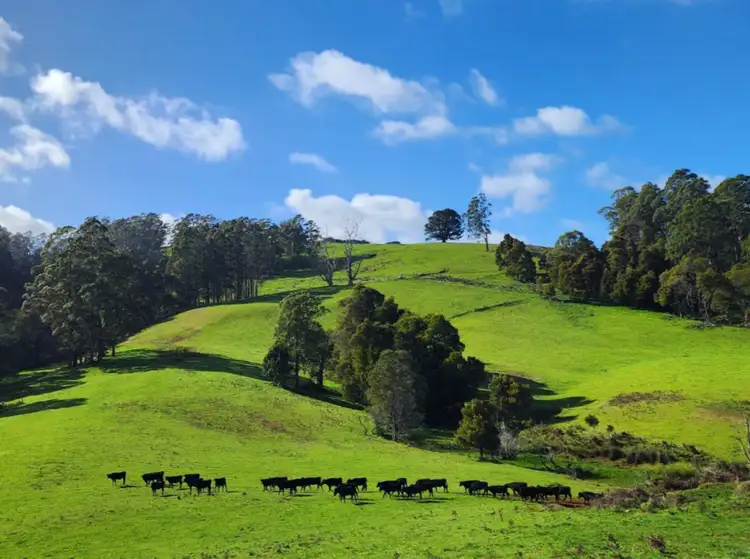 Second view of Homely rural property listing, 69 North Prospect Road, West Ridgley TAS 7321