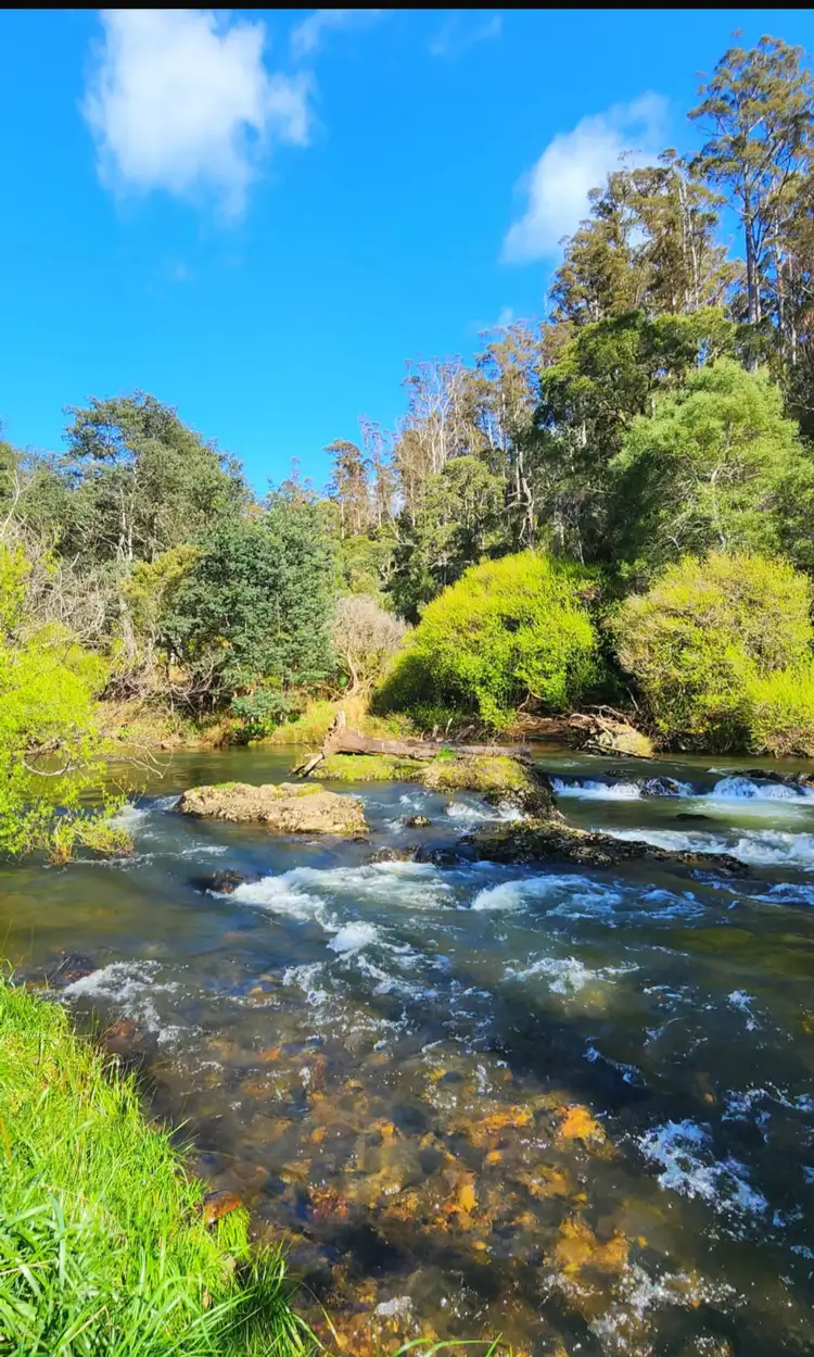 Sixth view of Homely rural property listing, 69 North Prospect Road, West Ridgley TAS 7321