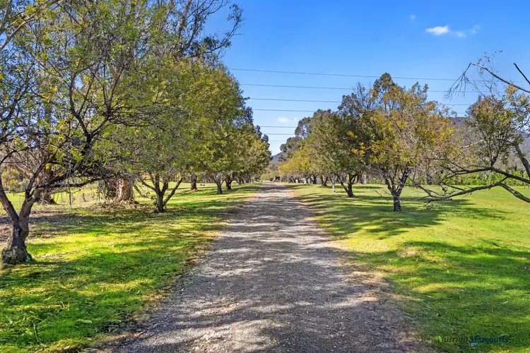 Second view of Homely rural property listing, 17 Marr Court, Eildon VIC 3713