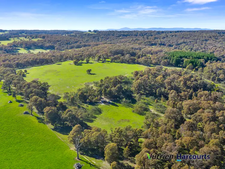 Seventh view of Homely rural property listing, Part of (lot 53)/300 Hewletts Road, Caveat VIC 3660