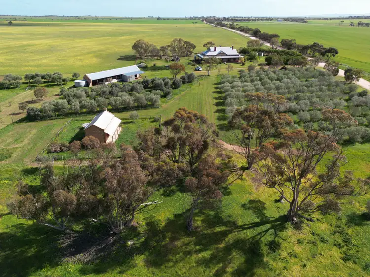 Second view of Homely rural property listing, 201 Murphy Road, Barabba SA 5460