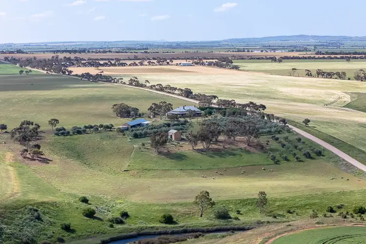 Fifth view of Homely rural property listing, 201 Murphy Road, Barabba SA 5460