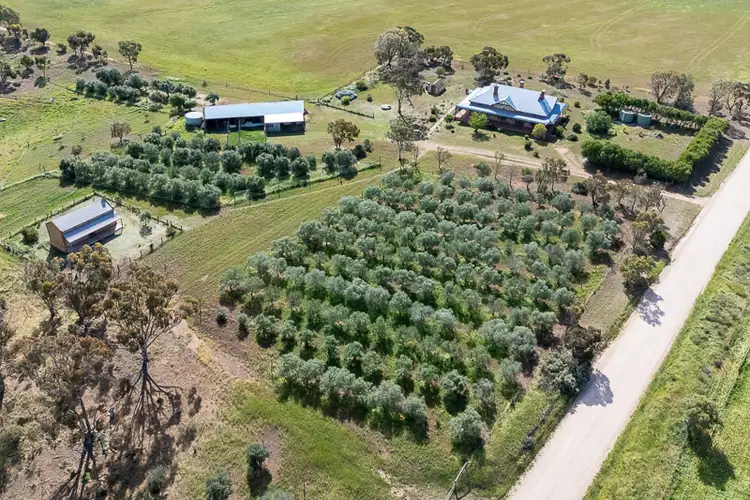 Sixth view of Homely rural property listing, 201 Murphy Road, Barabba SA 5460