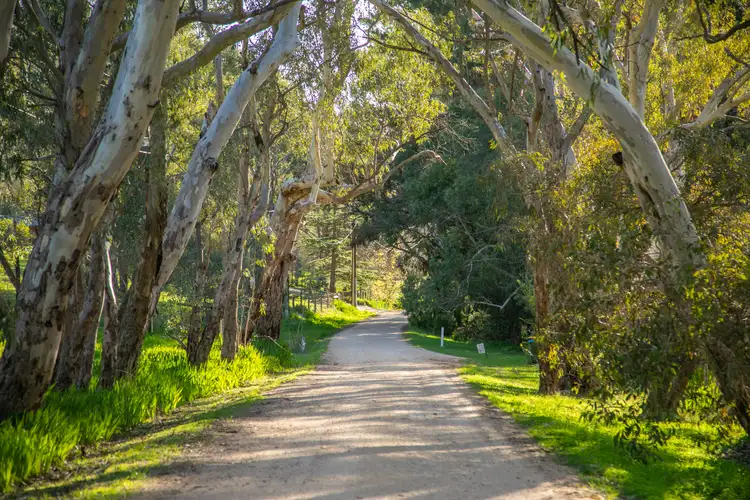 Third view of Homely house listing, 67 Hadrian Gully Road, Bradbury SA 5153