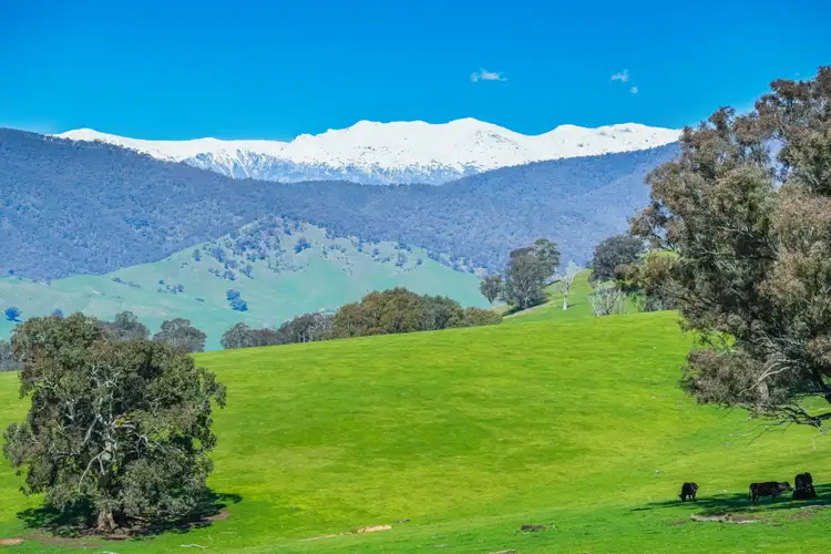 Lot 1 Murray Valley Highway, Towong Upper VIC 3707